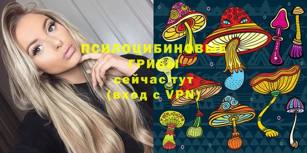 ПСИЛОЦИБИНОВЫЕ ГРИБЫ Каменногорск