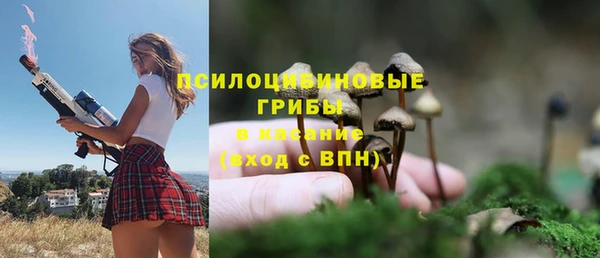 гидра Каменск-Шахтинский