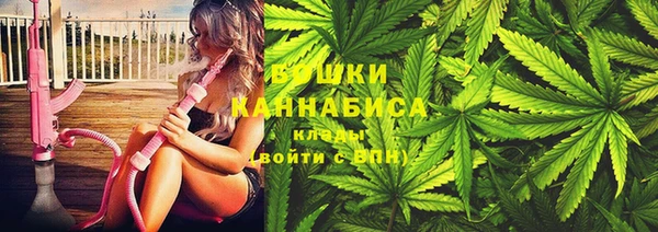 ПСИЛОЦИБИНОВЫЕ ГРИБЫ Каменногорск