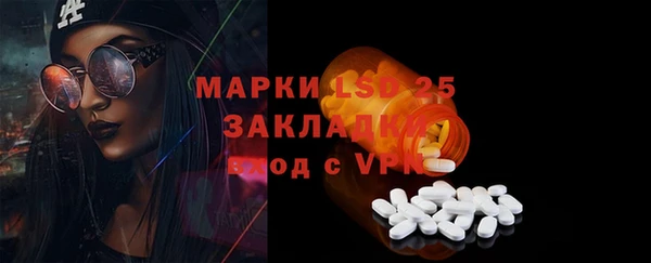 ПСИЛОЦИБИНОВЫЕ ГРИБЫ Каменногорск